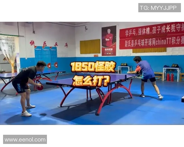 乒乓球新手必看战术入门指南助你快速提升竞技水平