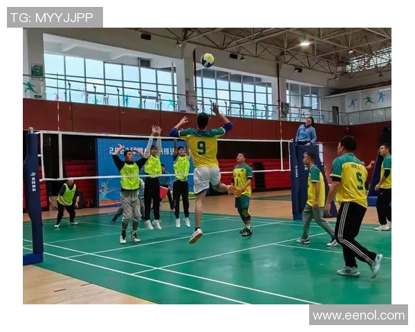 权威发布：2023年排球运动员心理素质实力排名揭晓引发热议